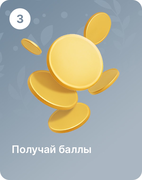 Правила программы